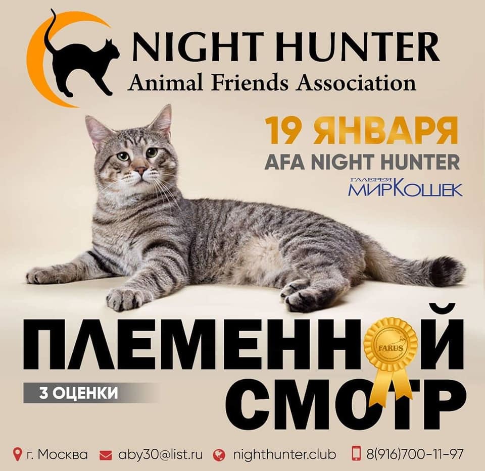 <span style="font-weight: bold;">ПЛЕМЕННОЙ СМОТР </span>