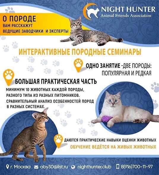 максимум 10 человек 